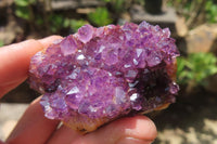 Natural Amethystos Amethyst Specimens x 12 From Kwaggafontein, South Africa