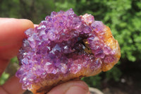 Natural Amethystos Amethyst Specimens x 12 From Kwaggafontein, South Africa