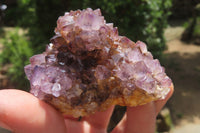 Natural Amethystos Amethyst Specimens x 12 From Kwaggafontein, South Africa