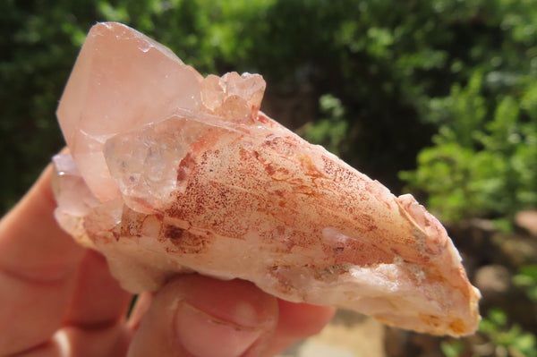 Natural Red Hematoid Quartz Clusters x 12 From Karoi, Zimbabwe