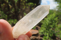 Natural Clear Quartz Crystals x 48 From Madagascar