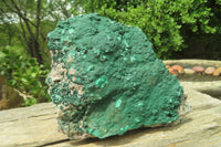 Natural Botryoidal Malachite Specimens x 2 From Tenke Fungurume, Congo