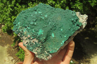 Natural Botryoidal Malachite Specimens x 2 From Tenke Fungurume, Congo