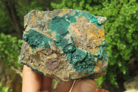 Natural Botryoidal Malachite Specimens x 2 From Tenke Fungurume, Congo