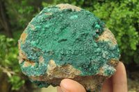 Natural Botryoidal Malachite Specimens x 2 From Tenke Fungurume, Congo