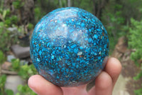 Polished Chrysocolla Conglomerate Spheres x 2 From Congo