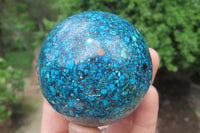 Polished Chrysocolla Conglomerate Spheres x 2 From Congo