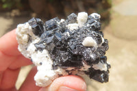 Natural Schorl Black Tourmaline Specimens x 13 From Namibia