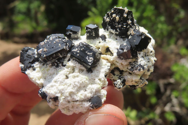 Natural Schorl Black Tourmaline Specimens x 13 From Namibia