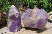 Polished Chevron Amethyst Points x 2 From Madagascar