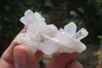 Natural Clear Quartz Clusters x 27 From Madagascar