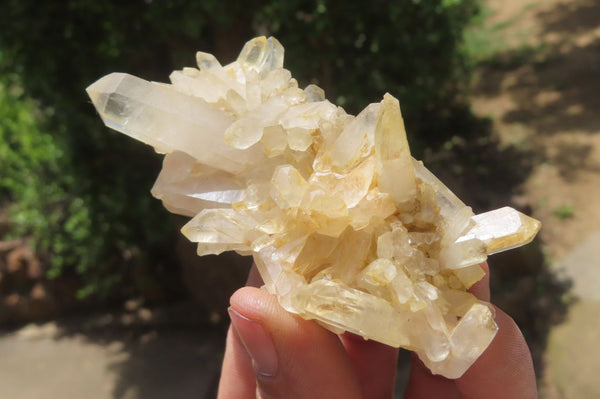 Natural Clear Quartz Clusters x 27 From Madagascar