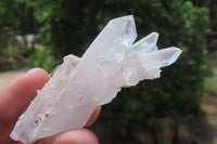 Natural Clear Quartz Clusters x 27 From Madagascar