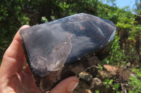 Polished Smokey Quartz Crystals x 12 From Madagascar