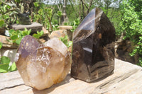 Polished Smokey Quartz Crystals x 12 From Madagascar