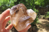 Polished Smokey Quartz Crystals x 12 From Madagascar