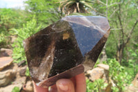 Polished Smokey Quartz Crystals x 12 From Madagascar