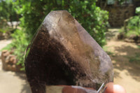 Polished Smokey Quartz Crystals x 12 From Madagascar