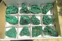 Natural Silky Malachite Specimens x 12 From Kasompe, Congo