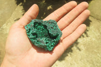 Natural Silky Malachite Specimens x 12 From Kasompe, Congo