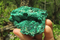 Natural Silky Malachite Specimens x 12 From Kasompe, Congo