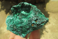 Natural Silky Malachite Specimens x 12 From Kasompe, Congo