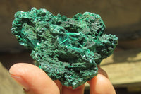 Natural Silky Malachite Specimens x 12 From Kasompe, Congo