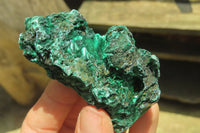 Natural Silky Malachite Specimens x 12 From Kasompe, Congo