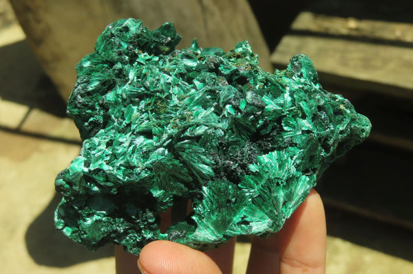 Natural Silky Malachite Specimens x 6 From Kasompe, Congo