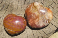 Polished Red Podocarpus Petrified Wood Hearts x 6 From Madagascar