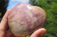 Polished Red Podocarpus Petrified Wood Hearts x 6 From Madagascar