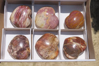 Polished Red Podocarpus Petrified Wood Hearts x 6 From Madagascar