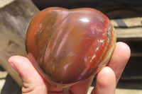 Polished Red Podocarpus Petrified Wood Hearts x 6 From Madagascar