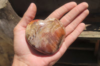 Polished Red Podocarpus Petrified Wood Hearts x 6 From Madagascar