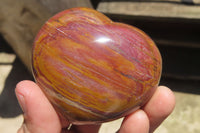 Polished Red Podocarpus Petrified Wood Hearts x 6 From Madagascar