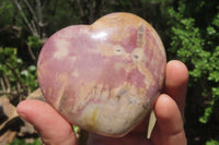 Polished Red Podocarpus Petrified Wood Hearts x 6 From Madagascar