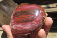 Polished Red Podocarpus Petrified Wood Hearts x 6 From Madagascar