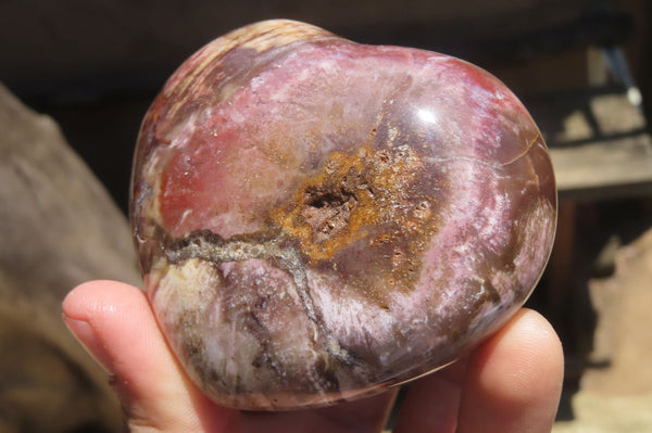 Polished Red Podocarpus Petrified Wood Hearts x 6 From Madagascar