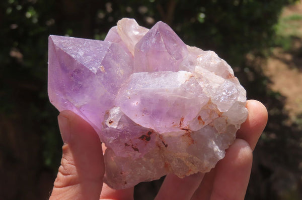 Natural Jacaranda Amethyst Quartz Clusters x 3 from Mumbwa, Zambia