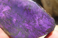 Polished On One Side Metallic Purpurite Specimens x 6 From Namibia