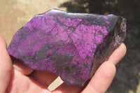 Polished On One Side Metallic Purpurite Specimens x 6 From Namibia