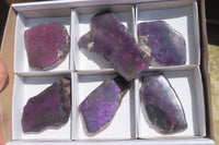 Polished On One Side Metallic Purpurite Specimens x 6 From Namibia