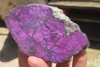 Polished On One Side Metallic Purpurite Specimens x 6 From Namibia