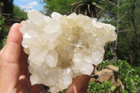 Natural Clear Quartz Clusters x 3 From Mpika, Zambia