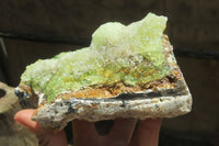 Natural Hyalite Opal With Schorl Specimen x 1 From Namibia