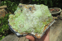 Natural Hyalite Opal With Schorl Specimen x 1 From Namibia