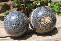 Polished Black Tourmaline Matrix Spheres x 6 From Madagascar