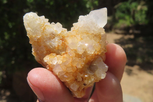 Natural Mixed Spirit Quartz Clusters x 35 From Boekenhouthoek, South Africa