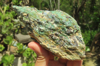 Natural Kyanite In Fuchsite Matrix Specimens x 3 From Zimbabwe