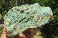 Natural Kyanite In Fuchsite Matrix Specimens x 3 From Zimbabwe